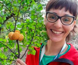 Investigadora de CIEFAP describe nuevas especies de hongos en la Patagonia