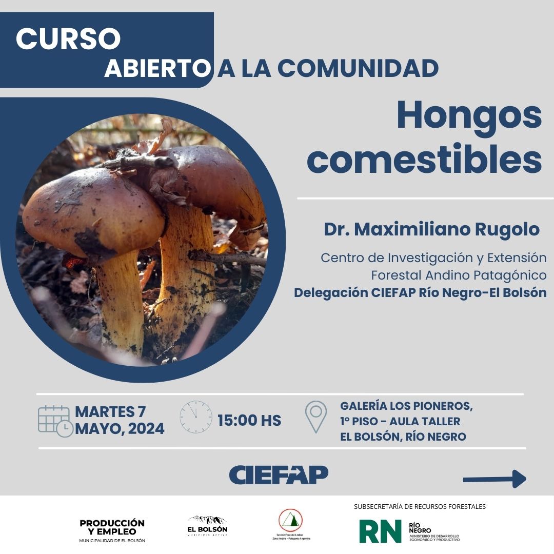 CIEFAP en Río Negro brinda capacitación sobre Recolección de Hongos Comestibles