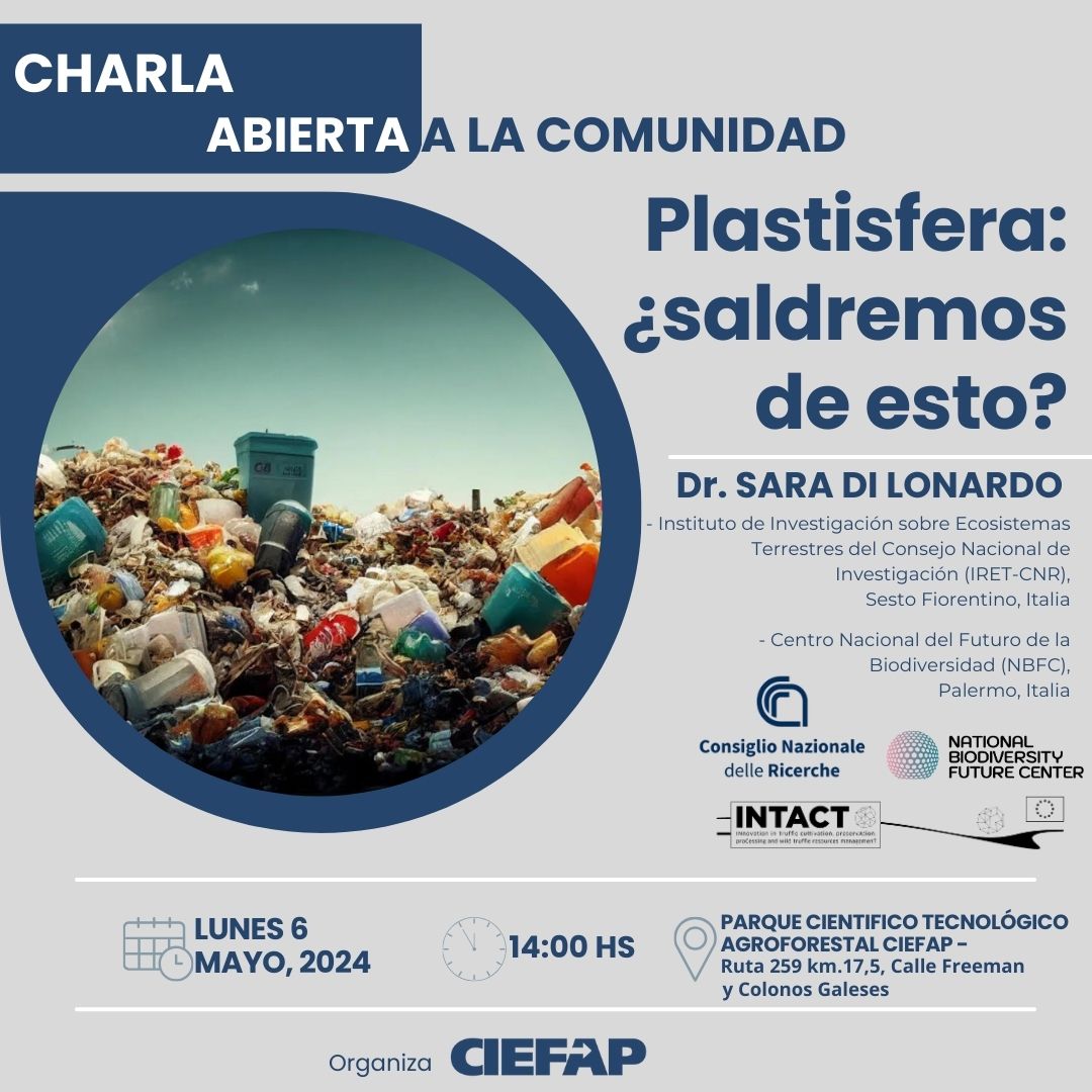 plastiferos.jpg