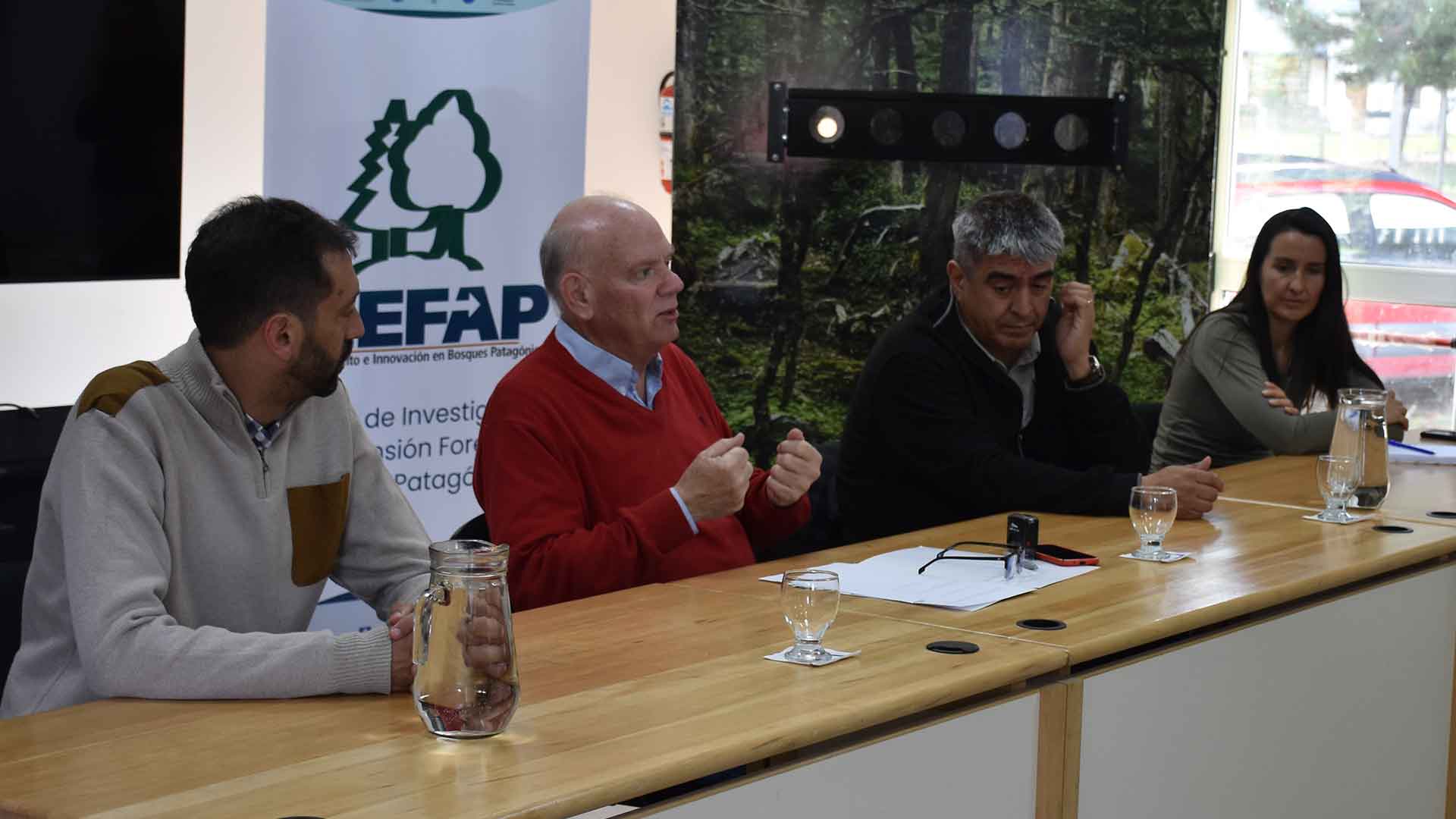 FAO 6
