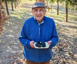 Río Negro busca identificar áreas clave para la producción de trufas