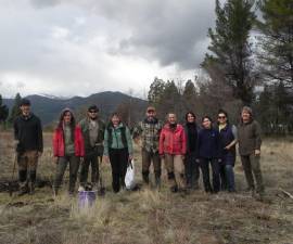 Nueva plantación de roble pellín y raulí en Mallín Ahogado